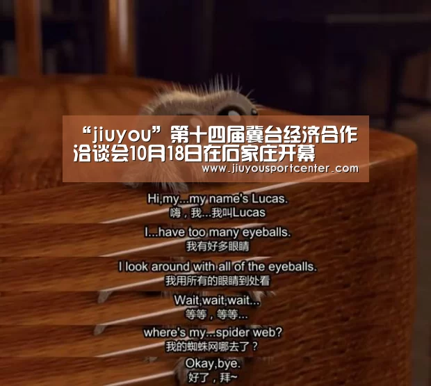 “jiuyou”第十四届冀台经济合作洽谈会10月18日在石家庄开幕