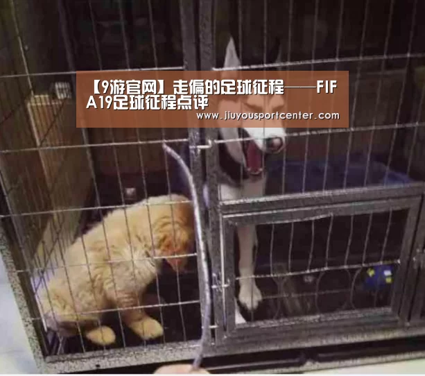 九游下载