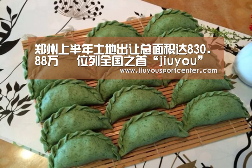 9游官网
